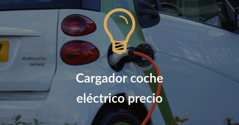 cargador coche electrico precio